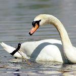 ... už toho mám dost